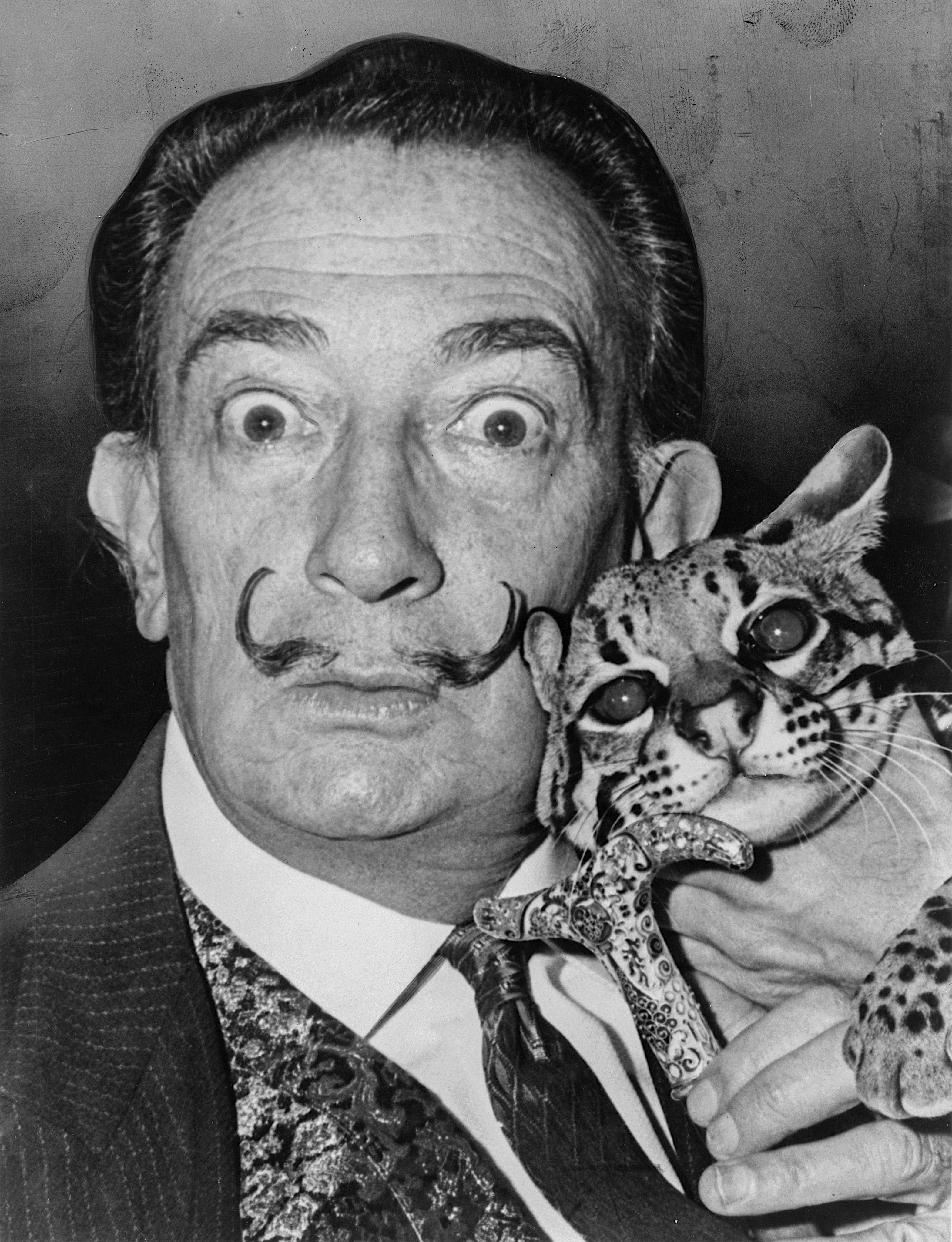 Salvador Dalí - Biografia e Obra: O Gênio Excêntrico e Seus Anos Formativos
